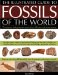 An Illustrated Guide to the Fossils of the World: A Comprehensive Directory of Fossilized Organisms, including Horsetails, Ferns, Marine Corals, Sponges and Urchins, and Land-Dwelling Spiders and Scor