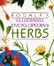  Rodale's Illustrated Encyclopedia of Herbs