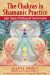 The Chakras in Shamanic Practice: Eight Stages of Healing and Transformation