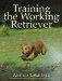  Training the Working Retriever