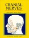  Cranial Nerves: Anatomy and Clinical Comments