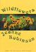  Wildflowers