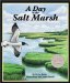 A Day in the Salt Marsh
