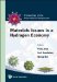  Materials Issues in a Hydrogen Economy: Proceedings of the International Symposium Richmond, Virginia, USA 12-15 November 2007