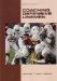  Coaching Defensive Linemen