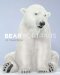  Bear Portraits