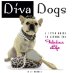  Diva Dogs: A Style Guide to Living the Fabulous Life