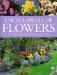  Encyclopedia of Flowers: Over 1,000 Popular Flowers, Flowering Shrubs and Trees
