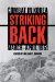  Striking Back: Combat in Korea, March-april 1951