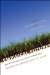  Empirical Futures: Anthropologists and Historians Engage the Work of Sidney W. Mintz