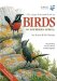  Larger Illustrated Guide to Birds of Southern Africa