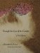  Through the Eyes of the Condor: An Aerial Vision of Latin America