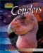  California Condors: Saved by Captive Breeding