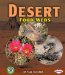  Desert Food Webs