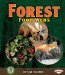  Forest Food Webs