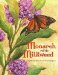  Monarch and Milkweed