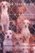  Inside Animal Hoarding: The Case of Barbara Erickson and Her 522 Dogs