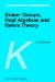  Brauer Groups, Hopf Algebras and Galois Theory