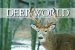  Deer World