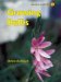  Bulbs for Dry & Mediterranean Climate Gardens