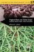  Tropical Root and Tuber Crops: Cassava, Sweet Potato, Yams and Aroids