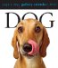  Dog Gallery 2010 Calendar