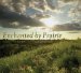 Enchanted by Prairie