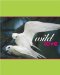  Wild Love