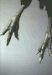  Graphis Photography Annual 2007