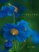  Blue Heaven: Encounters With the Blue Poppy