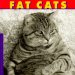 Fat Cats