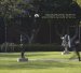 The Franklin D. Murphy Sculpture Garden At UCLA