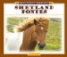  Shetland Ponies