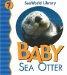  Baby Sea Otter