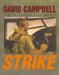  Strike