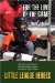  Little League Heroes