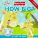  How Big?