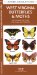  West Virginia Butterflies & Moths: An Introduction to Familiar Species