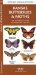  Kansas Butterflies & Moths: An Introduction to Familiar Species