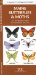  Maine Butterflies & Moths: An Introduction to Familiar Species