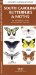  South Carolina Butterflies & Moths: An Introduction to 72 Familiar Species