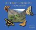  Butterfly Landscapes of New Mexico