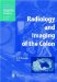  Radiology and Imaging of the Colon