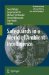  Safeguards in a World of Ambient Intelligence