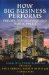  How Big Business Performs: Private Performance and Public Policy : Analysing the Profits of Australia's Largest Enterproses Drawing on the Unique Data of Ibis Business Informat