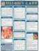  Ostomy Care Laminated Reference Guide