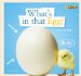  What's in That Egg?: A Book About Life Cycles