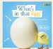  What's in That Egg?: A Book About Life Cycles