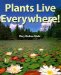  Plants Live Everywhere!
