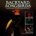  Backyard Songbirds: An Illustrated Guide to 100 Familiar Species of North America